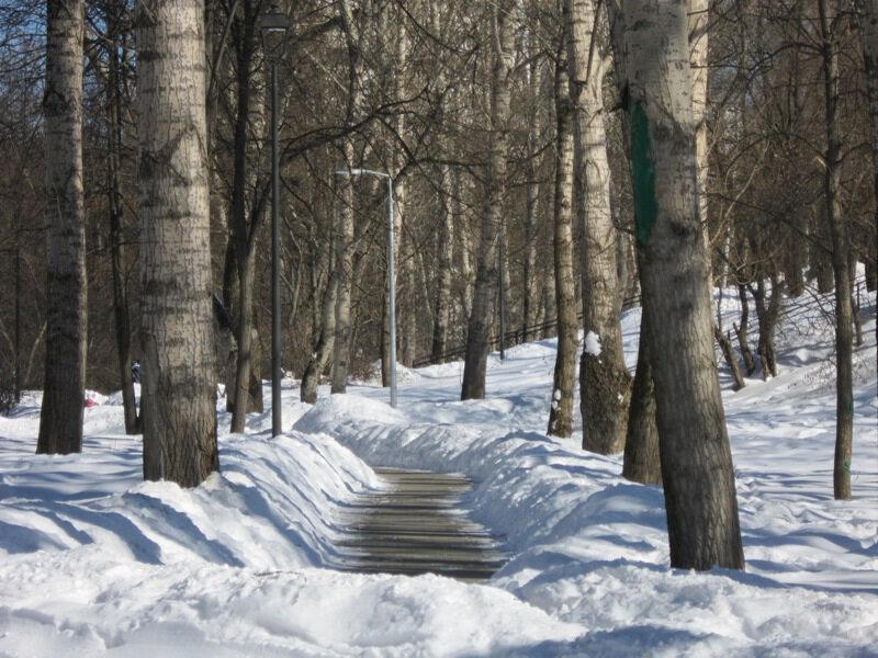 Дорожка в парке