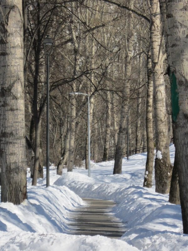 Дорожка в парке