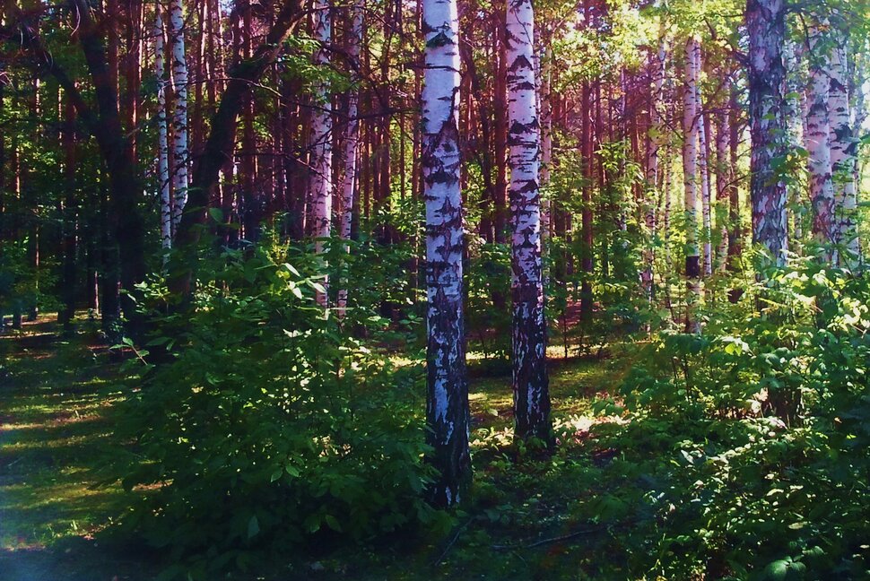 Сентябрь