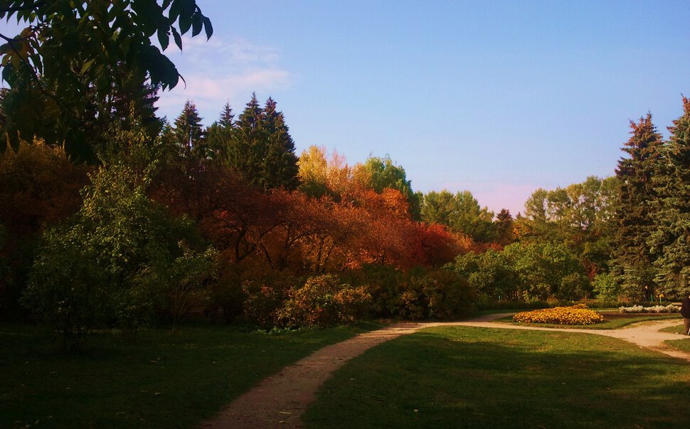 В осеннем парке