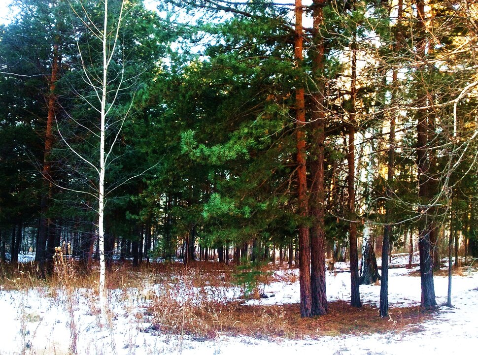 Зимний уголок