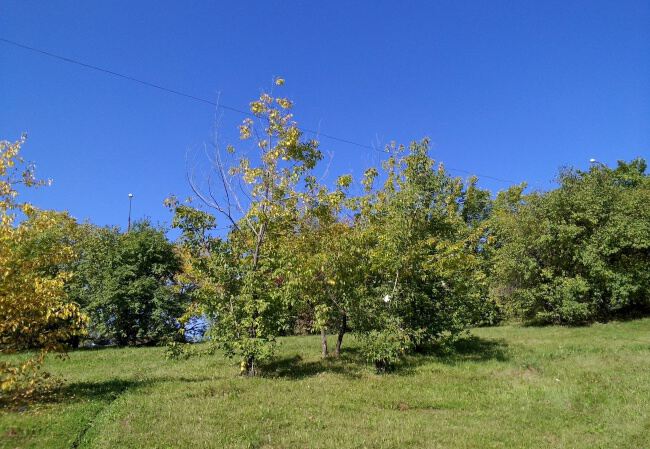 На природе