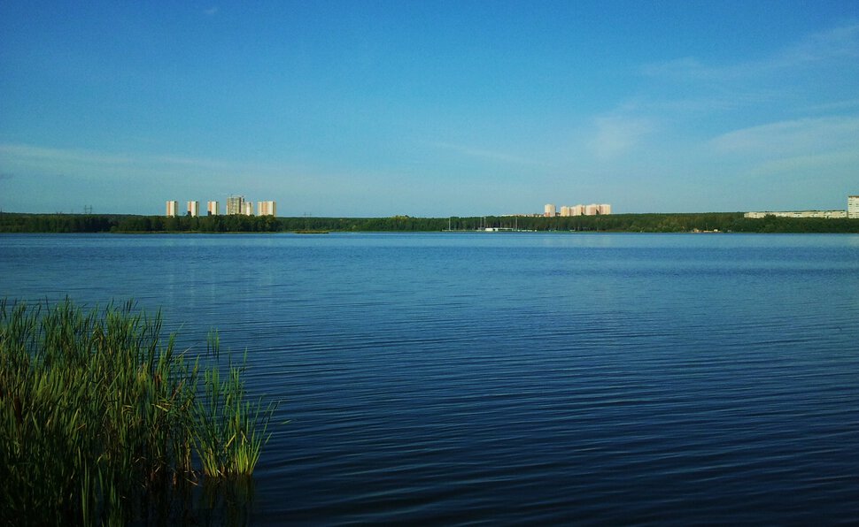 На просторе у реки