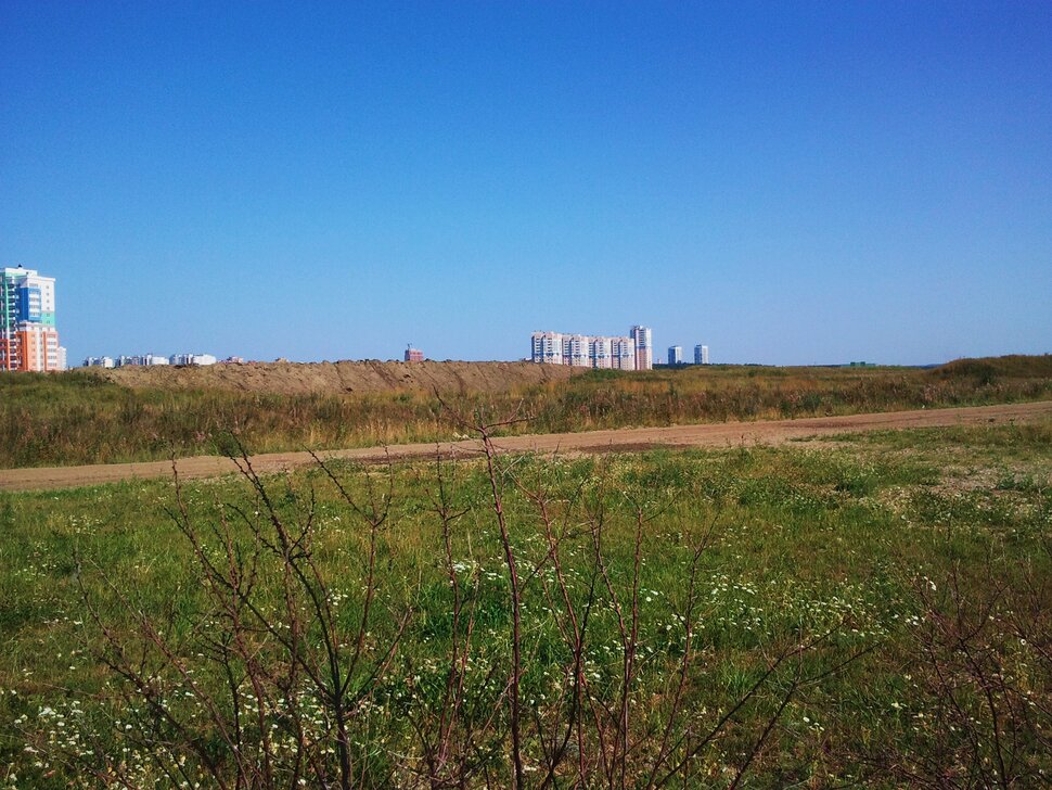 В полях за городом