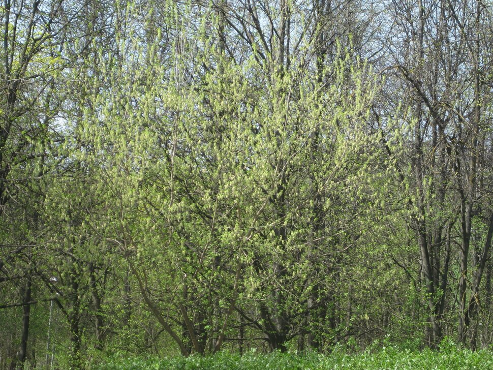 Апрель