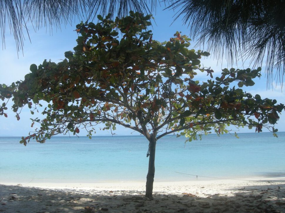 Bamboo island, Thailand