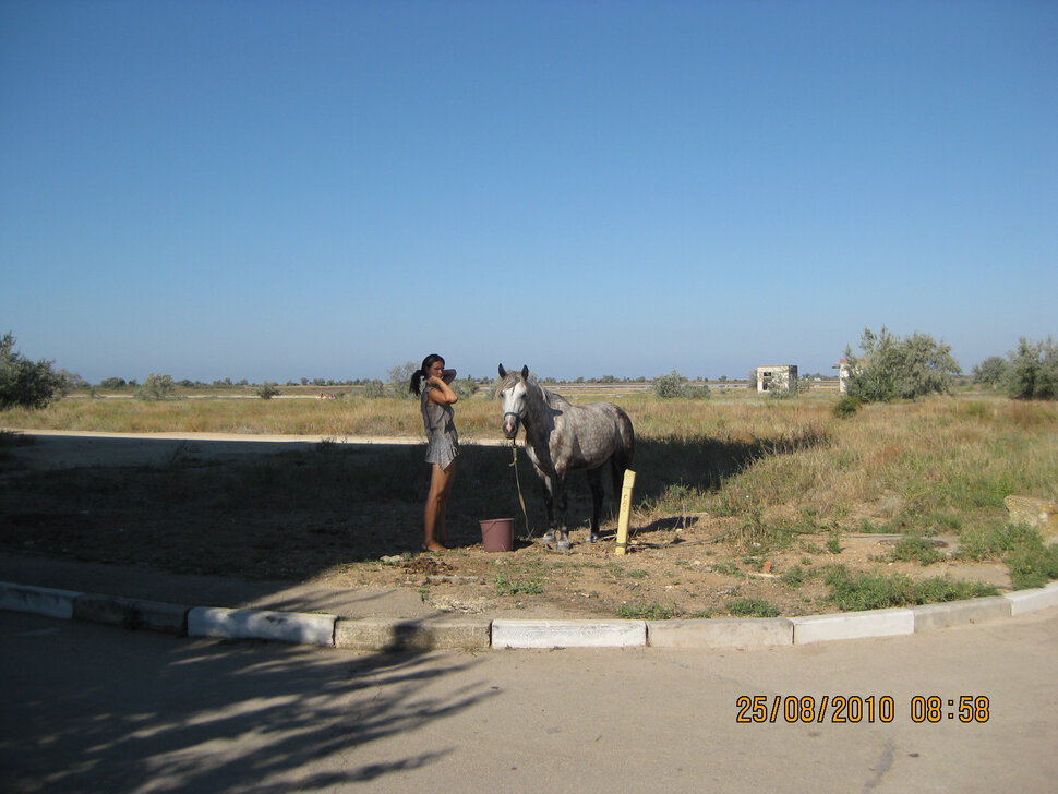 Девушка и лошадь, Крым