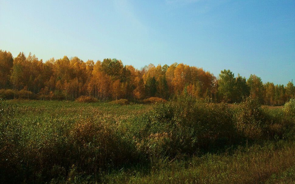 По осенним просторам