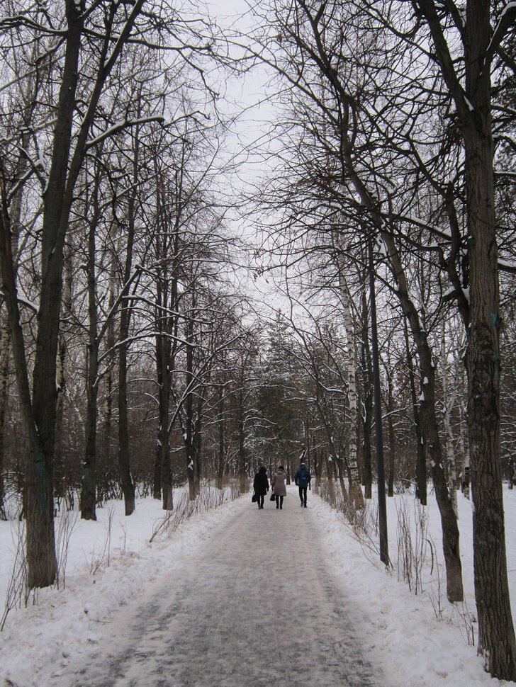 Прогулка по парку зимой