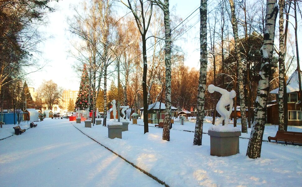 В зимнем парке