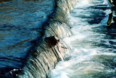 Вода бежит по мостам. Красивые фотографии для обложки в Одноклассниках, вода бежит вниз.