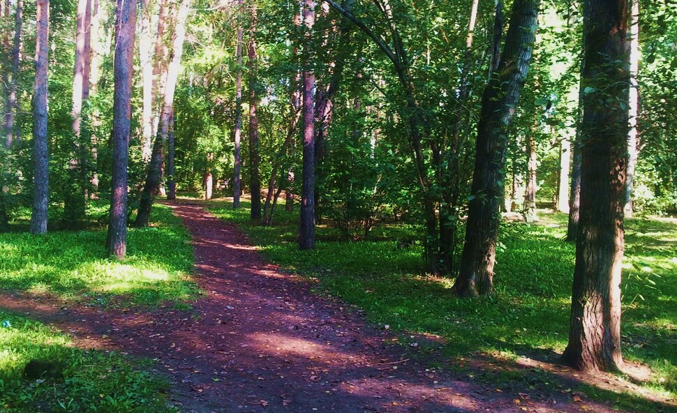 По дорожкам