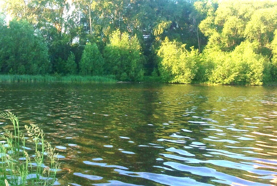 У реки