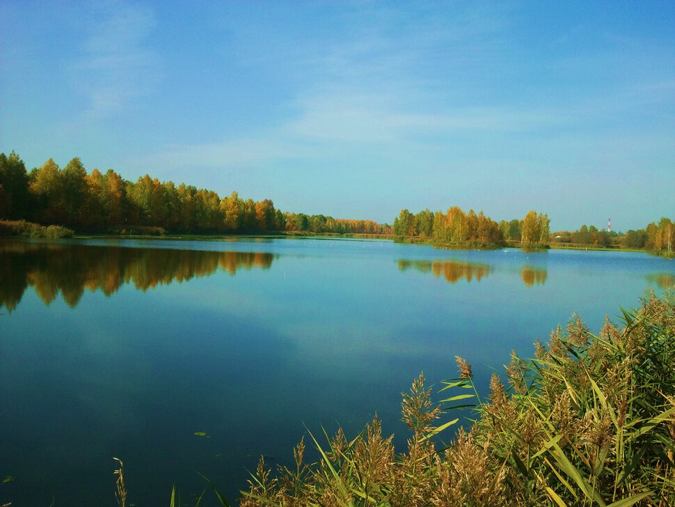 У водной глади