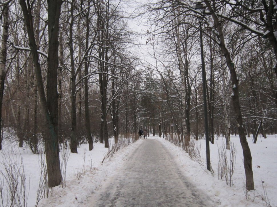 В парке в декабре