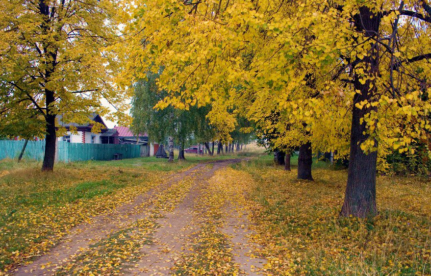 Красота осенней природы