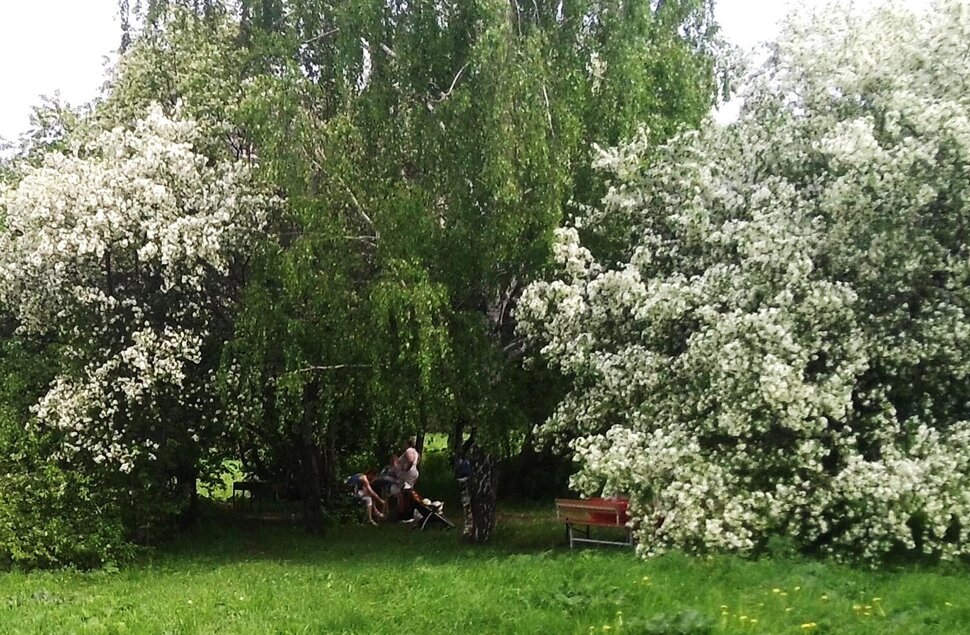 Майский отдых