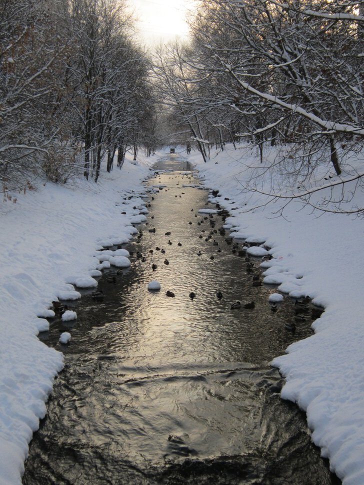 Речка в январе