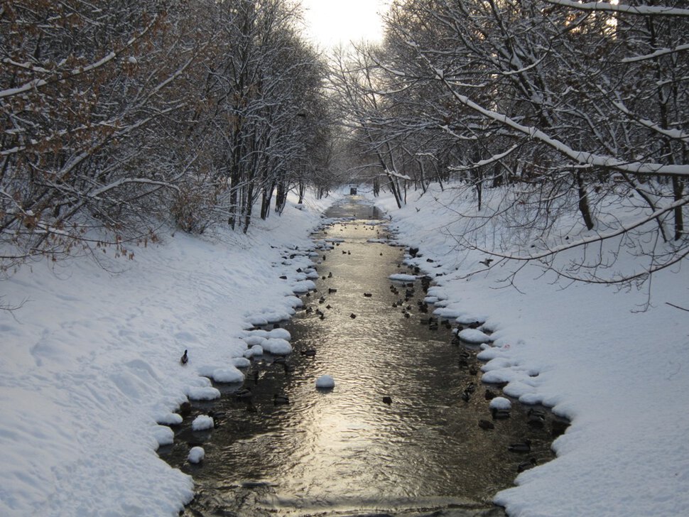 Речка в январе