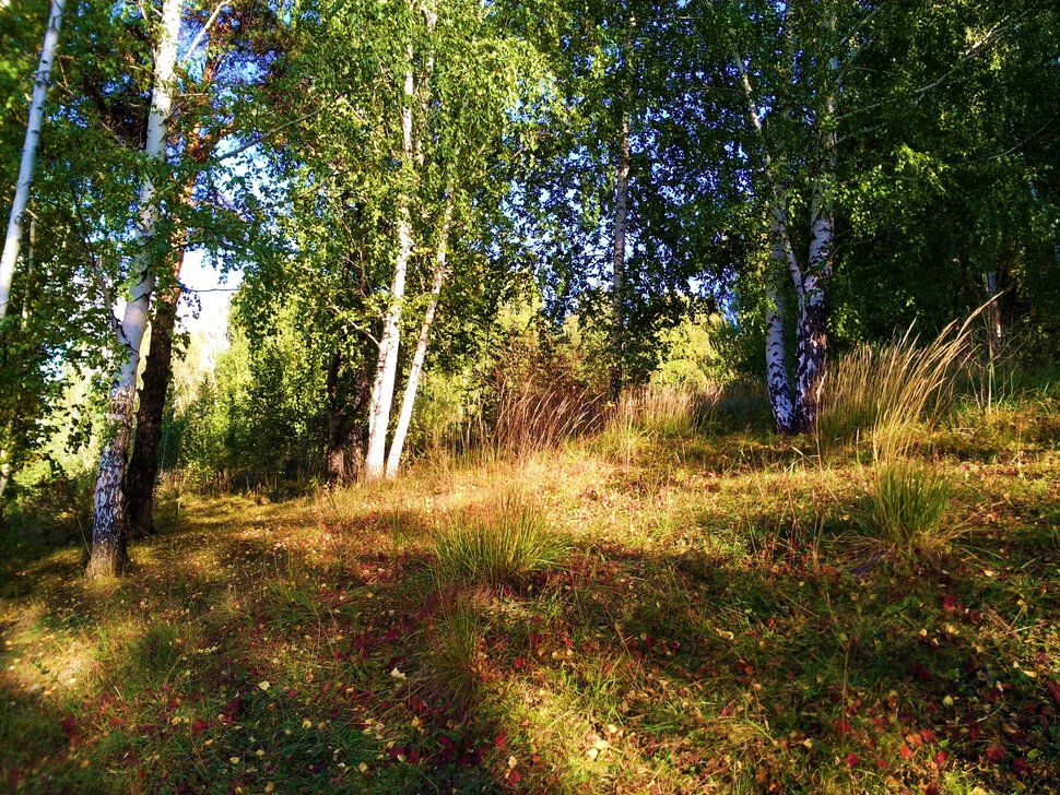 Сентябрьский пейзаж