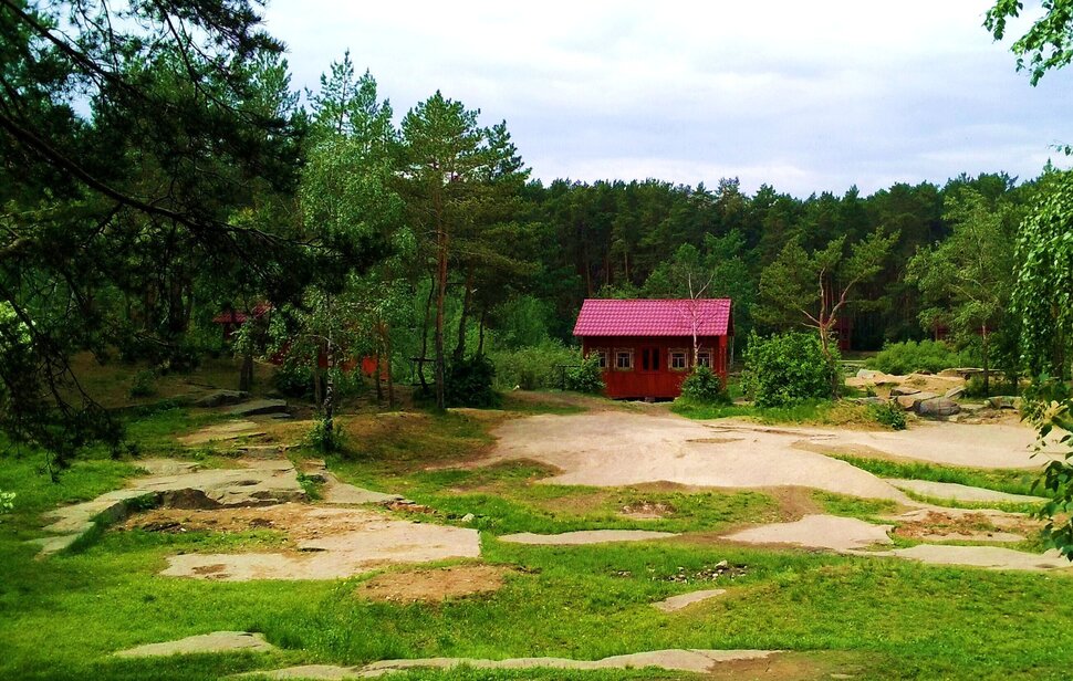 В лесах