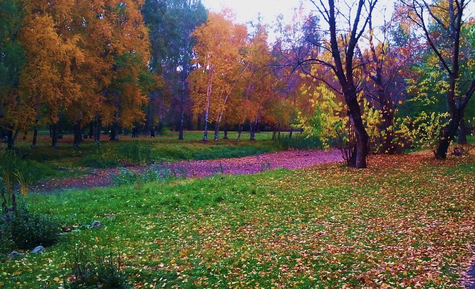 Краски осени