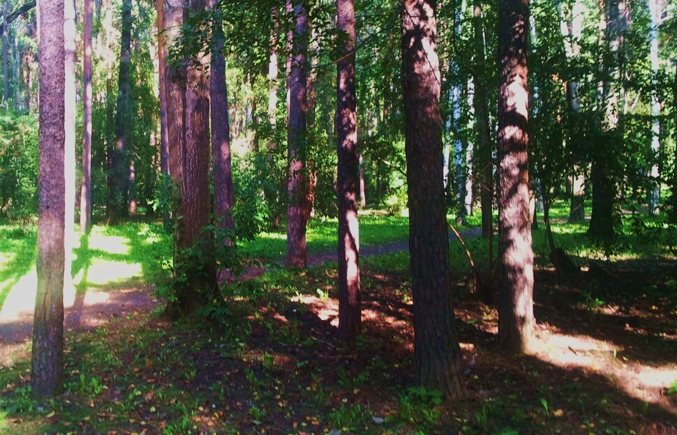 По лесочку