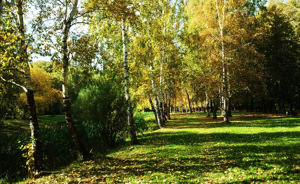 По осенним уголкам