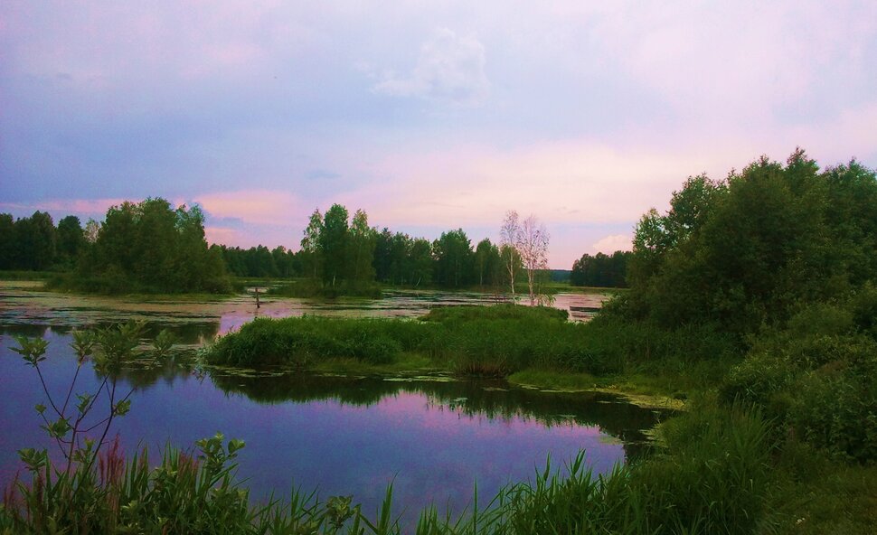 У реки