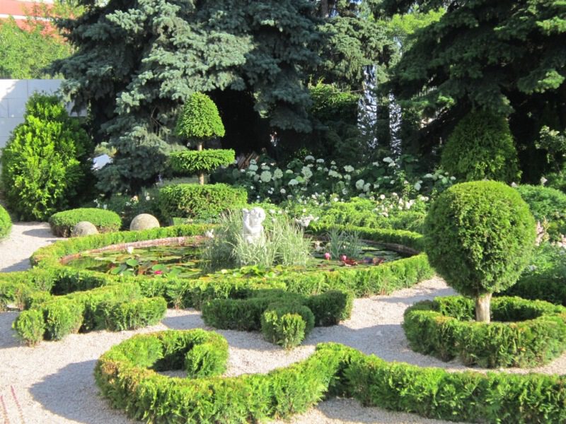 В летнем парке