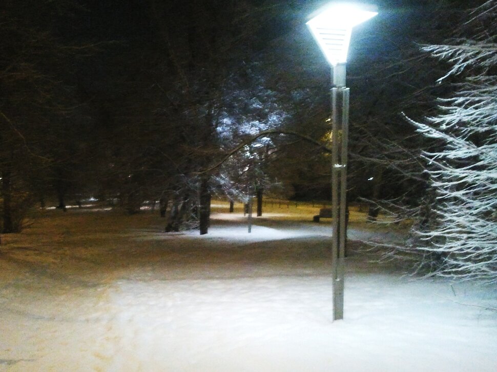 Январь и фонарь