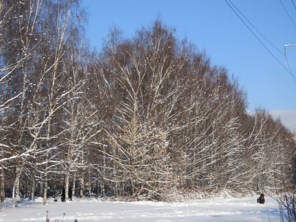 Первый день февраля