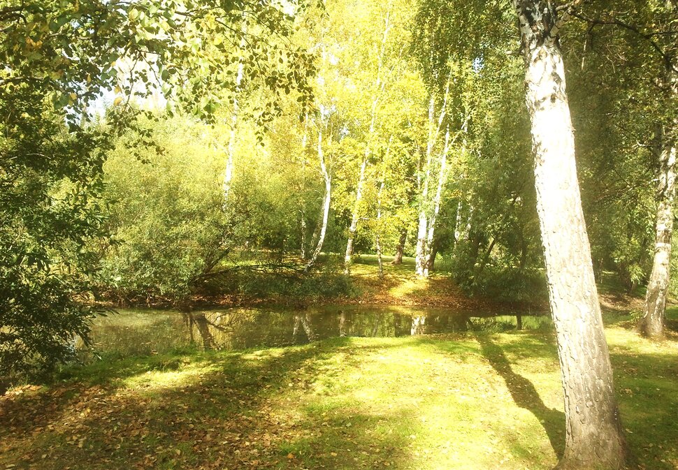 Сентябрь