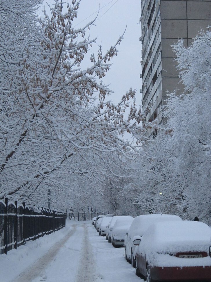 Московская зима