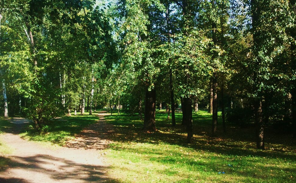 По лесочку