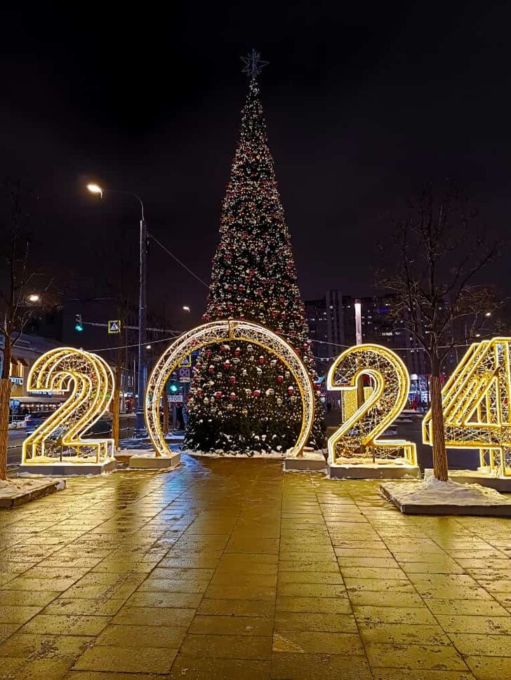 Предновогодняя Москва