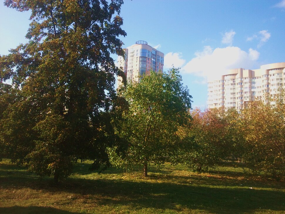 Сентябрь