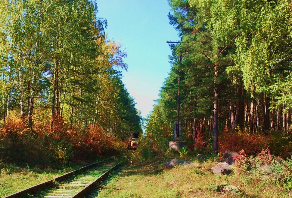 Сказочный лес и железная дорога