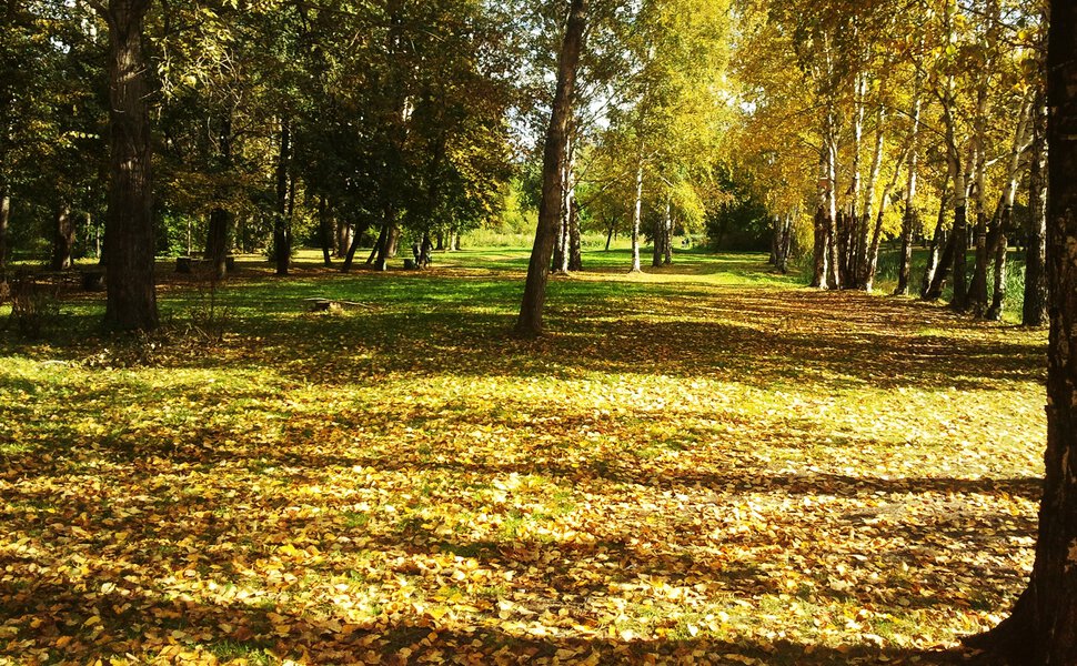 Солнечная осень