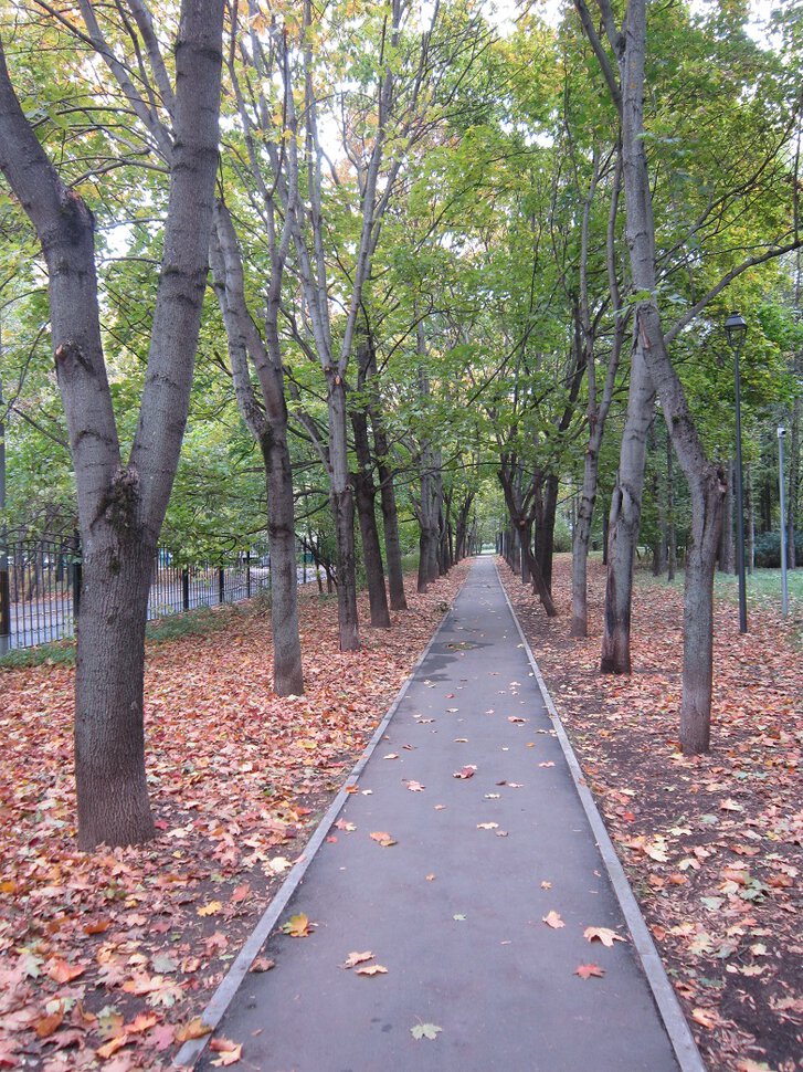 В парке в сентябре