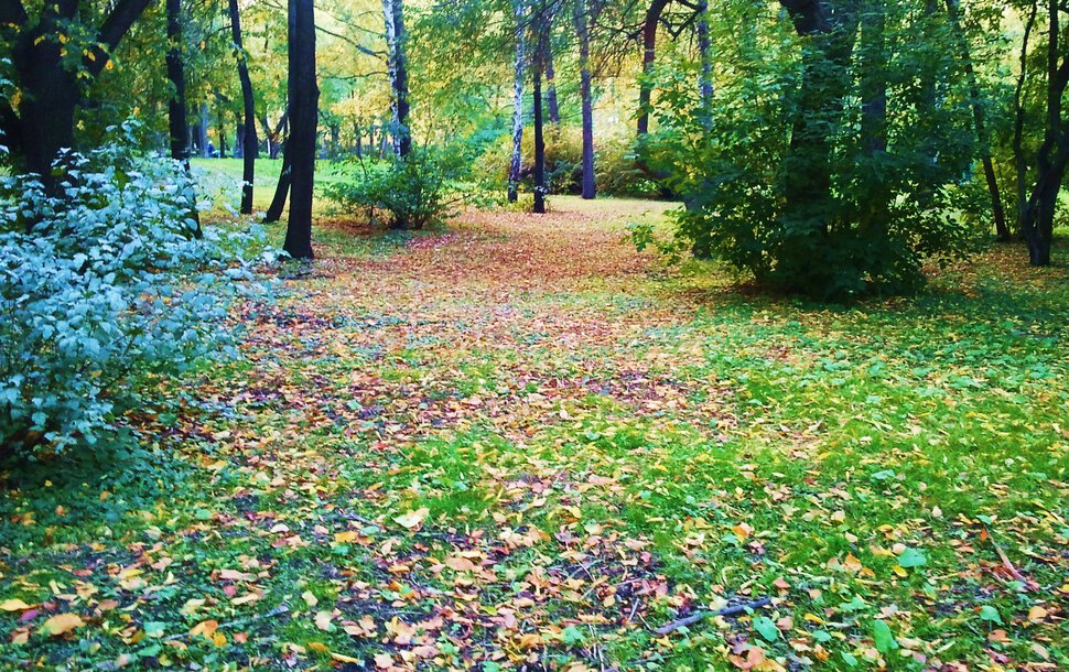 Осенними дорожками