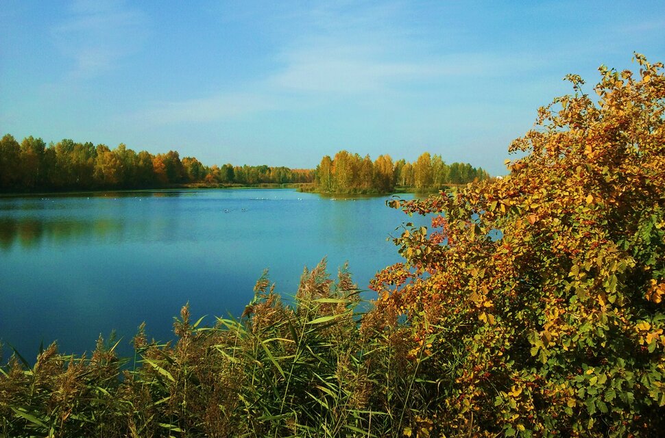 Осенью у реки