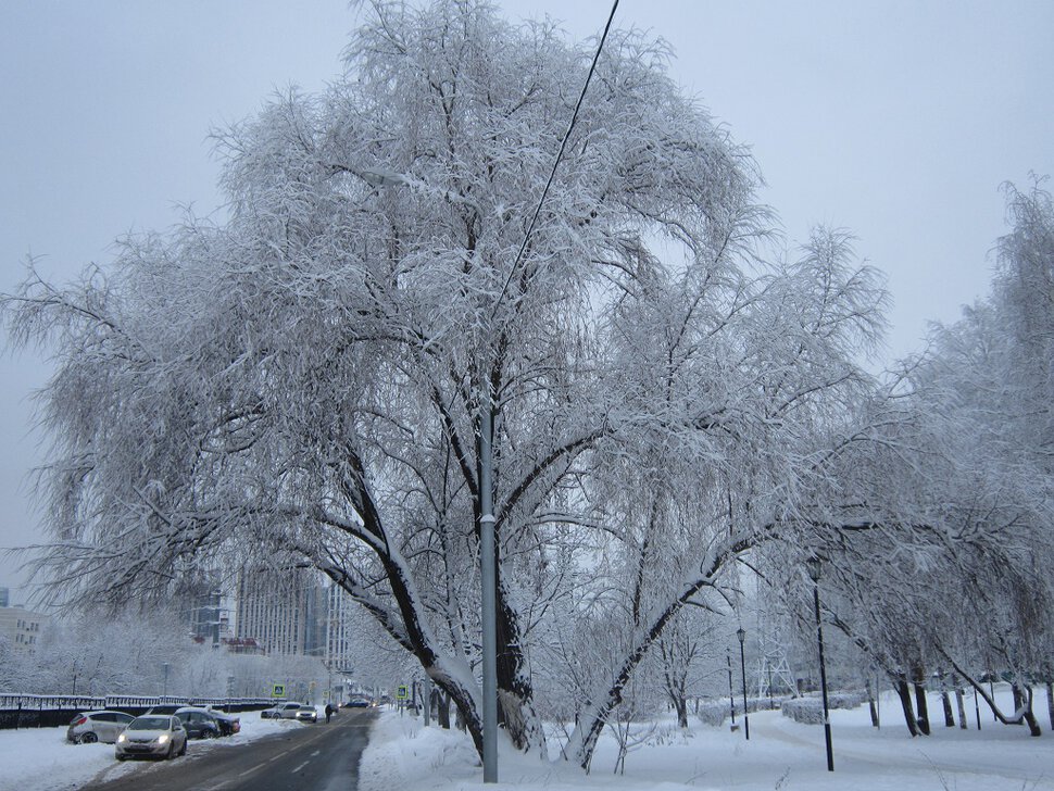 Московская зима