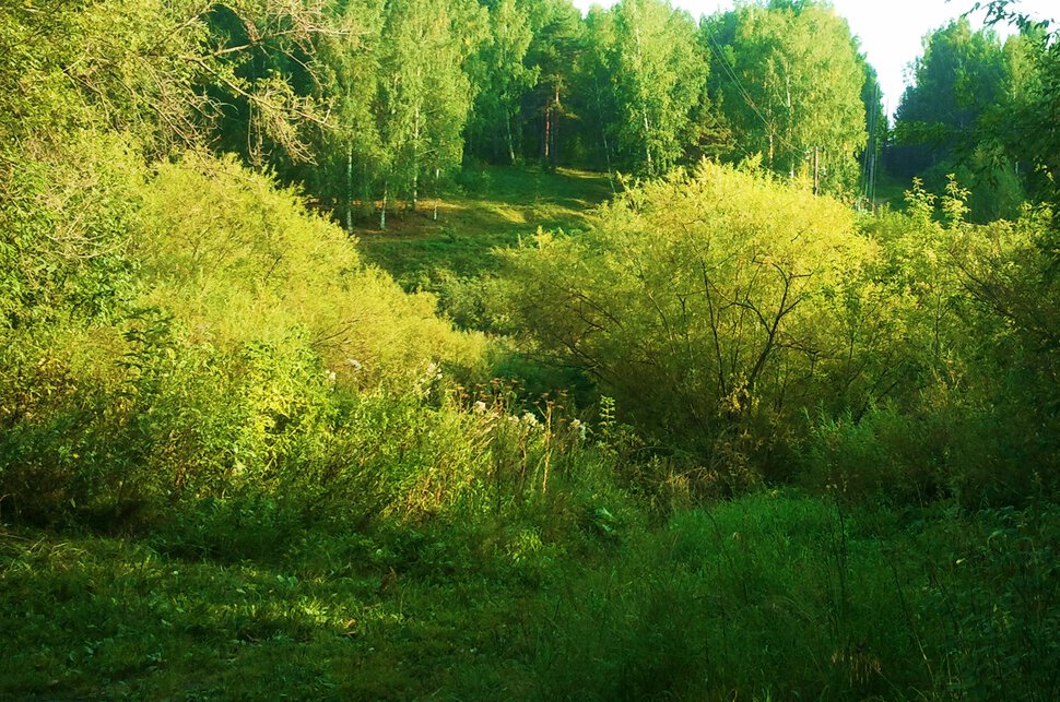 По горам и перелескам