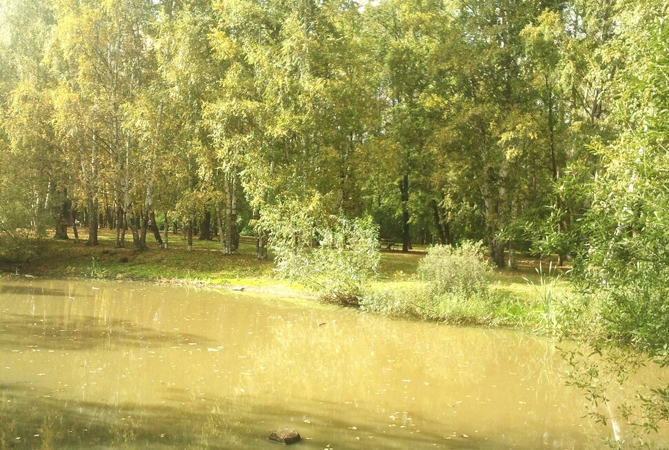 Сентябрь