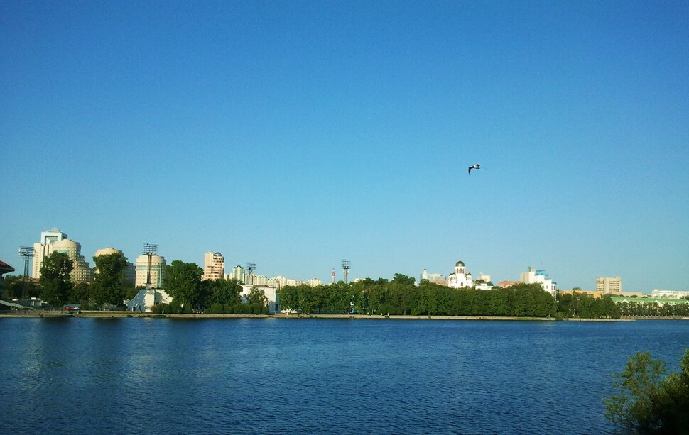 У городского пруда