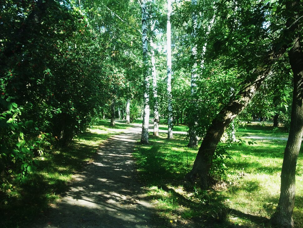В лесочке