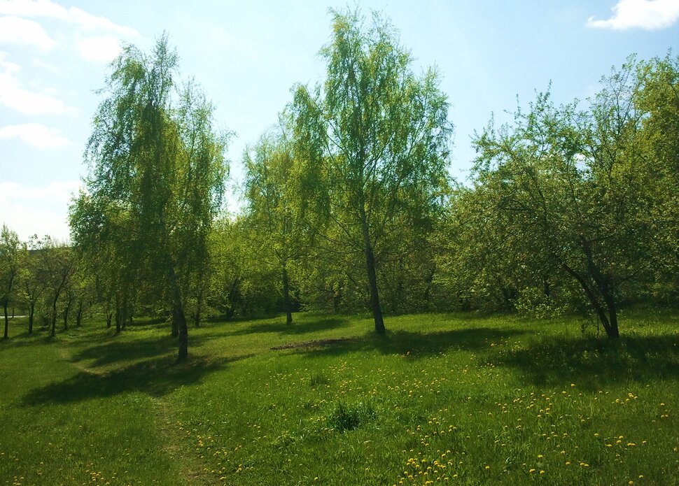 Весна