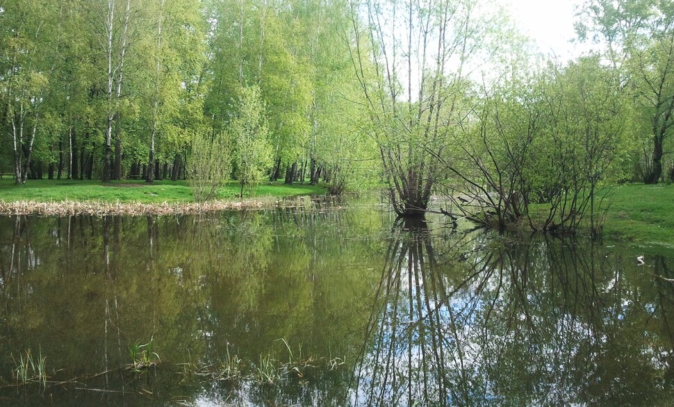 По майским лужам