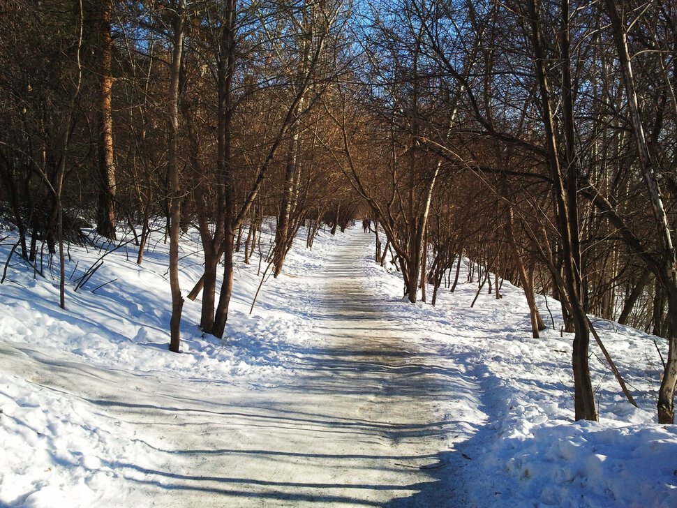 По зимней дорожке на склоне